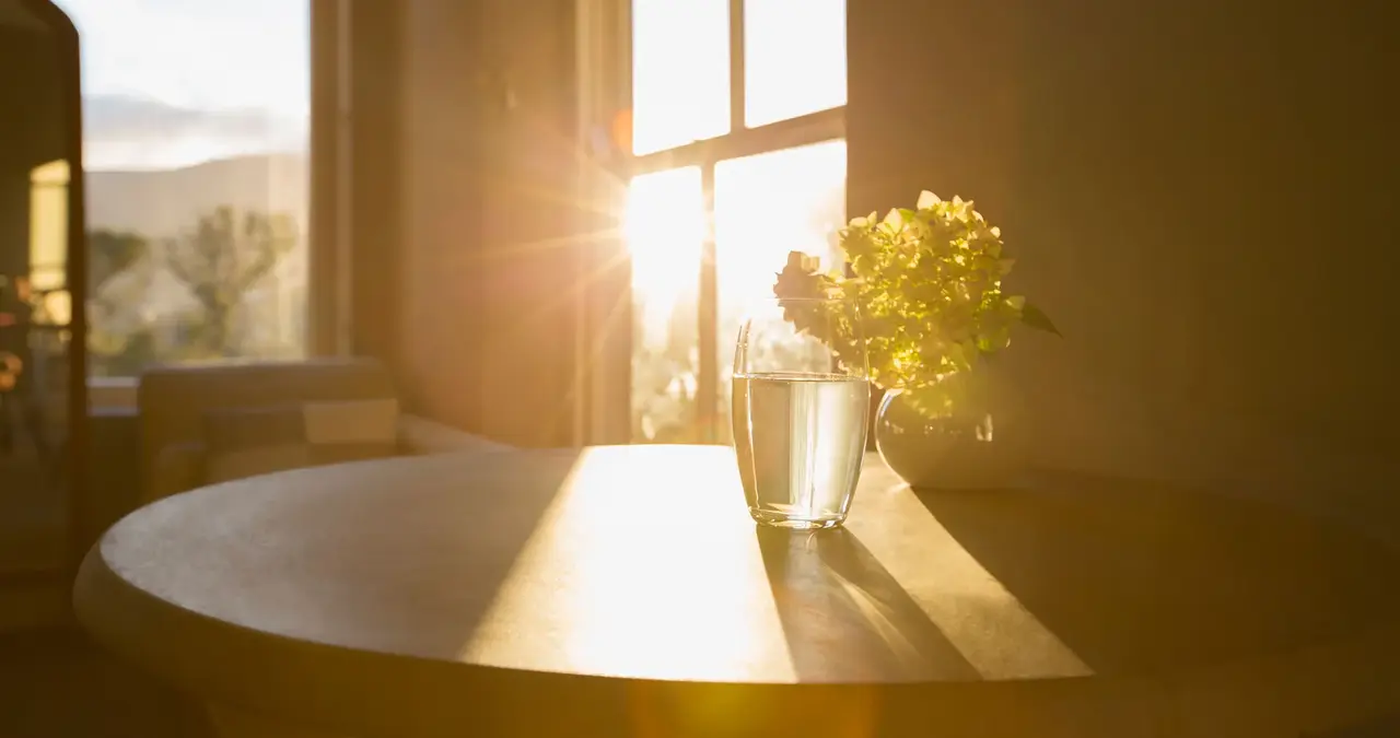 Embracing the Radiance of Soleilleux: A Celebration of Light and Warmth soleilleux